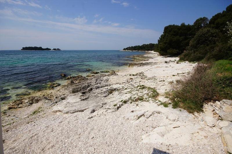 Rooms In Rovinj With Sea View, Balcony, Air Conditioning, Wifi 81-1 Exteriör bild