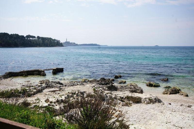 Rooms In Rovinj With Sea View, Balcony, Air Conditioning, Wifi 81-1 Exteriör bild